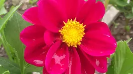 mai 004.webp