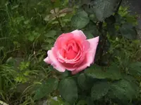 BILD1544.webp