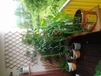 20120620_085440.webp