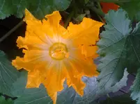 20120620_084757.webp