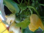 20120620_084930.jpg