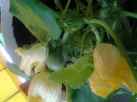 20120620_084930.webp