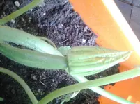 20120620_084815.webp