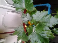20120620_085114.webp