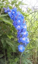 20120620_093515.webp