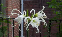 20120620_093829.webp
