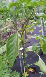 20120620_093404.webp
