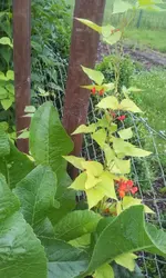 20120620_093446.webp