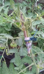 20120620_093239.webp