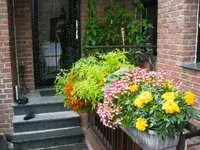 PICT0002.webp