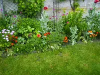 PICT0004.webp