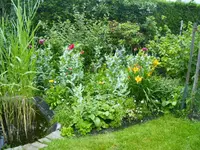 PICT0005.webp