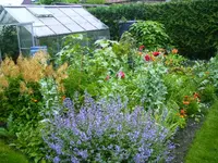 PICT0007.webp