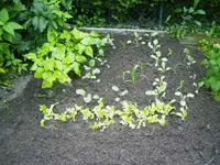 PICT0008.webp