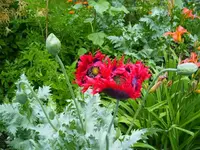PICT0010.webp