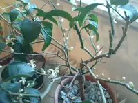 DSC01172_2.webp