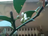 DSC01174_2.webp
