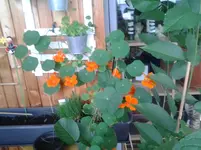 20120620_152035.webp