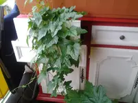 20120620_152007.webp