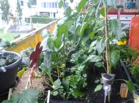20120620_151725.webp