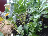 20120620_151718.webp