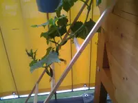 20120620_151709.webp