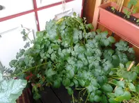 20120620_152011.webp
