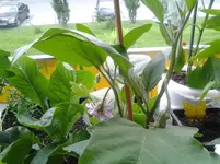 20120620_151902.webp