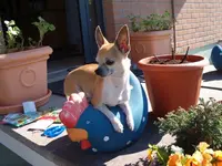 Bild 724.webp