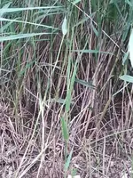 2012-06-20 16.52.46.webp