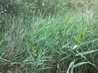 2012-06-20 16.53.00.webp