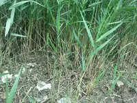 2012-06-20 16.53.04.webp