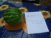 Garten 19.06.2012 (9).webp
