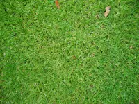 DSCN0238_Bildgröße ändern.webp