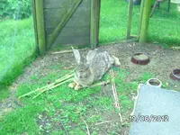 BILD0924.webp