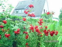 BILD0929.webp