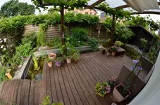 20120621-091856-MIO_5538.webp