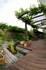 20120621-092302-MIO_5572.webp
