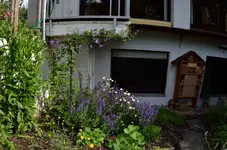20120621-092445-MIO_5590.webp