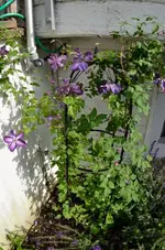 20120621-092511-MIO_5592.webp