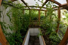 20120621-092606-MIO_5599.webp