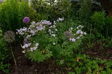20120621-092753-MIO_5613.webp