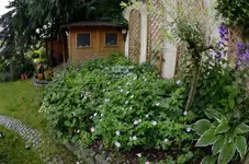 20120621-093005-MIO_5637.webp