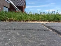 Rasen_Terrasse.webp