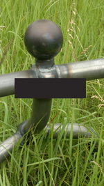 2.webp