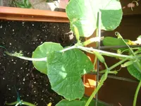 DSC01292.webp