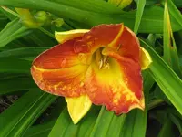 IMG_spanish fort_800x600.webp
