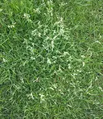 20120621_121408.webp