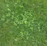 20120621_121552.webp