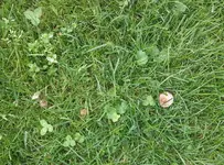 20120621_121704.webp